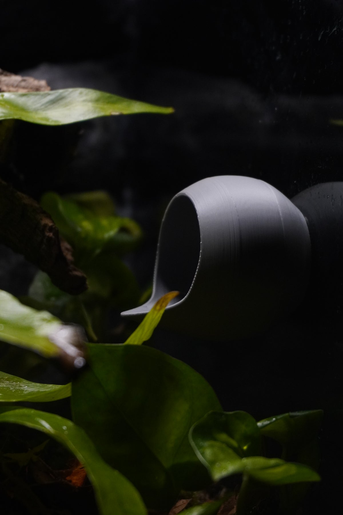 JGL NEST